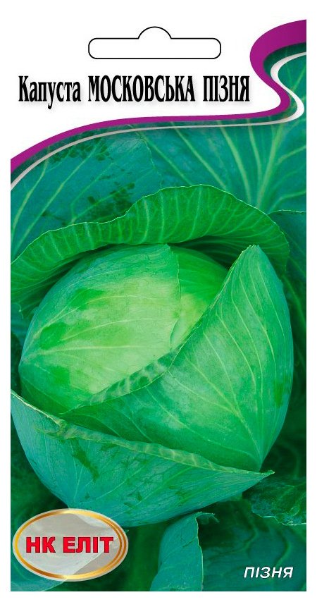 Moscow Late Cabbage Seeds, 1 g