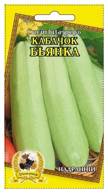 Насіння кабачка Бьянка, 20 шт | Семена кабачка Бьянка, 20 шт