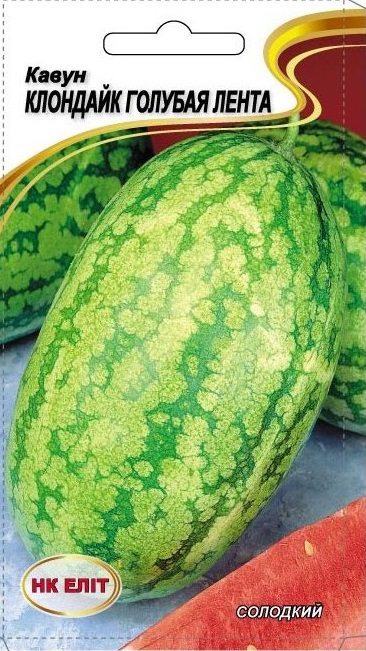 Klondike Blue Ribbon Watermelon Seeds, 1 g