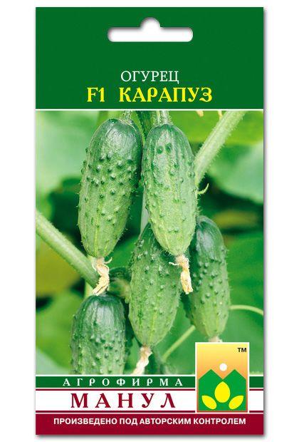 Karapuz F1 Cucumber Seeds, 10 seeds
