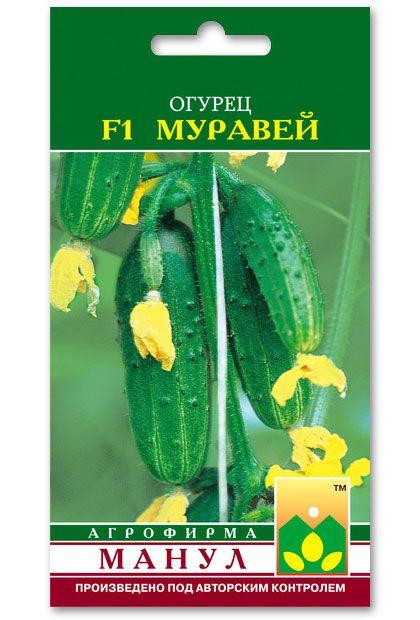 Muravey F1 Cucumber Seeds, 10 seeds