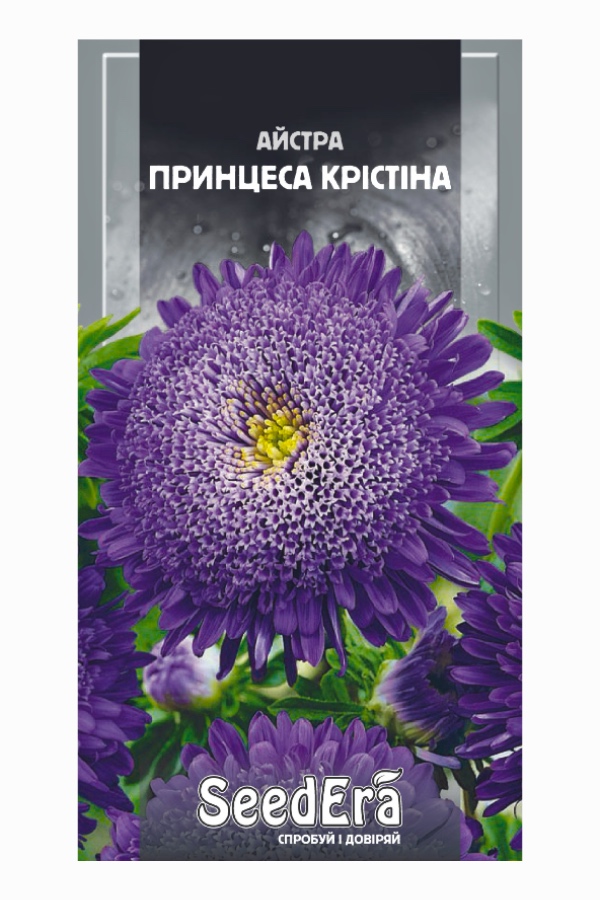 Aster Princess Christina Flower Seeds, 0.25 g, Seedera