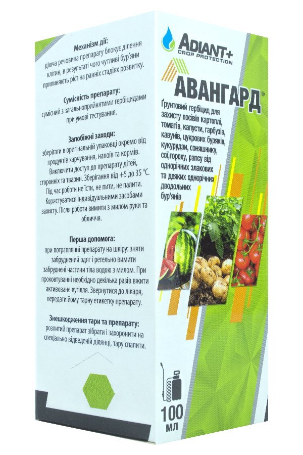 Avangard 100 ml