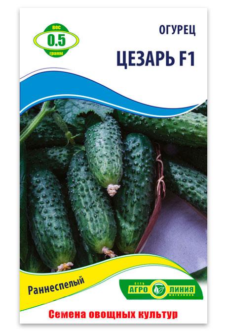 Caesar F1 Cucumber Seeds, 0.5 g