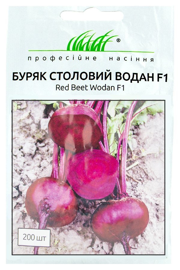 Семена свеклы Водан F1, 200 семян Bejo Zaden (Голландия)