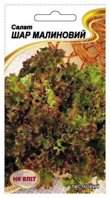 Raspberry Ball Lettuce Seeds, 1 g