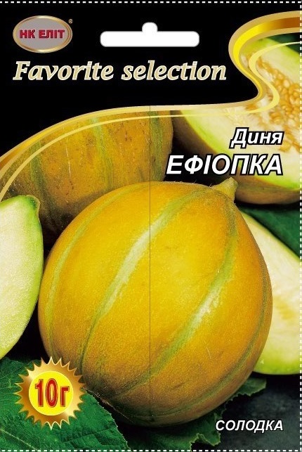 Ethiopian Melon Seeds, 10 g