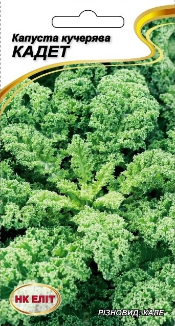 Cadet Cabbage Seeds, 0.5 g