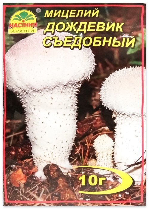 Мицелий гриба Дождевик Съедобный, 10 г
