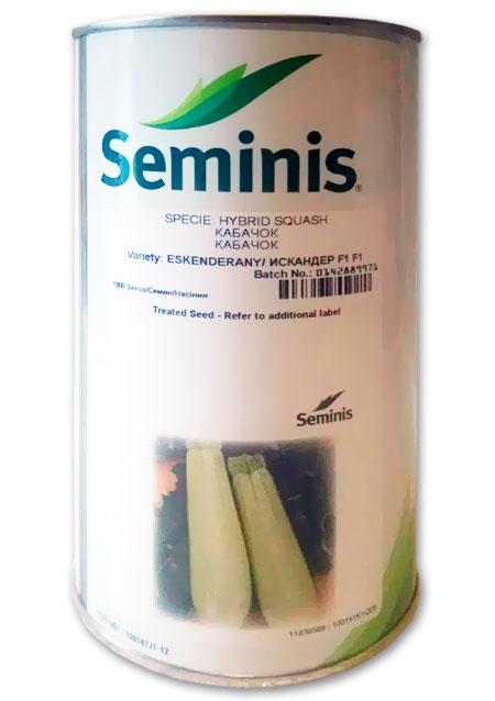 Семена Кабачка Искандер F1, 1000 семян Seminis (Голландия)