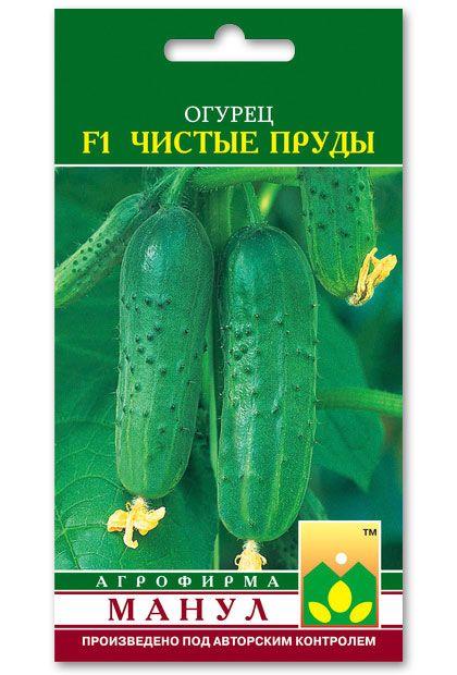 Clean Ponds F1 Cucumber Seeds, 10 seeds