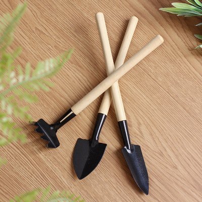 Houseplant and Seedling Care Kit