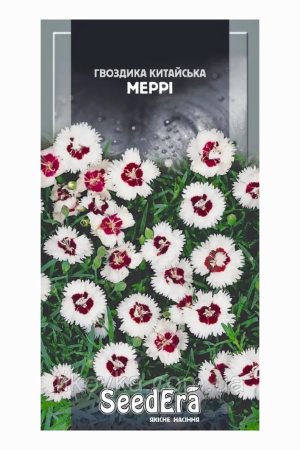Chinese Carnation 'Merry' Flower Seeds, 0.2 g, Seedera