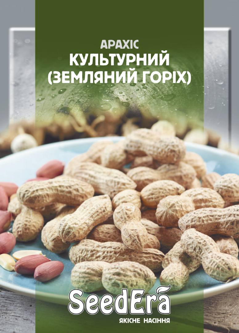 Peanut seeds, Cultivated Peanut, 20 g, Seedera