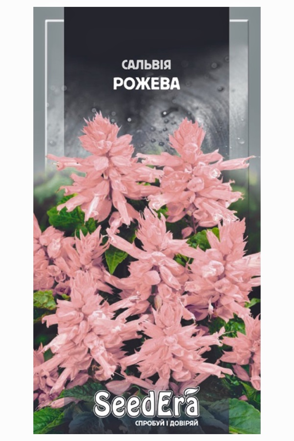 Насіння квітів Сальвія Рожева, 0.1 г, Seedera | Семена цветов Сальвия Розовая, 0.1 г, Seedera