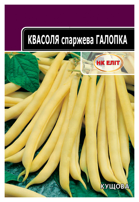 Galopka Yellow Bush Green Bean Seeds, 20 g