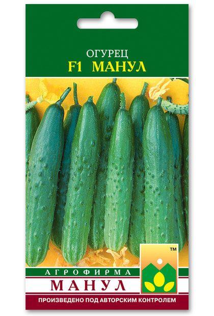 Manul F1 Cucumber Seeds, 10 seeds