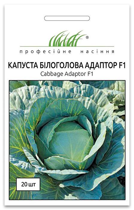 Семена капусты Адаптор F1, 20 семян Syngenta (Голландия)