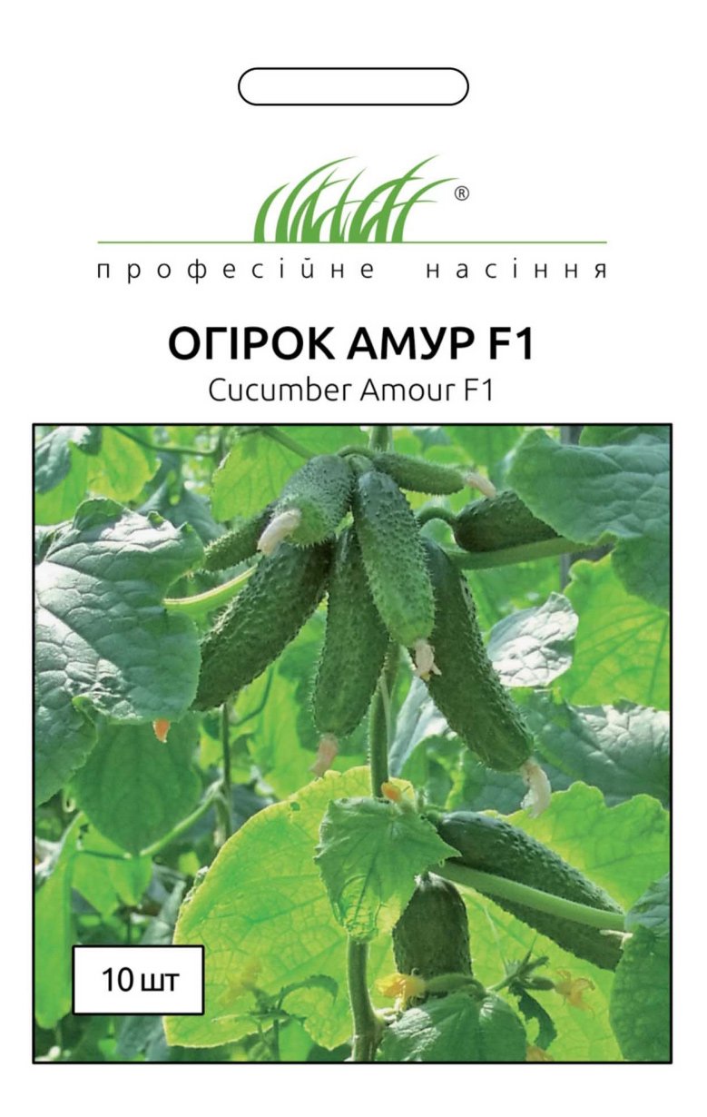 Amur F1 Cucumber Seeds, 10 seeds Bejo Zaden (Netherlands)