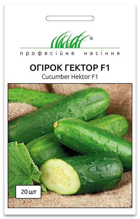 Семена огурца Гектор F1, 20 семян Nunhems  Zaden (Голландия)