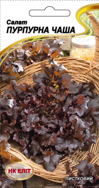 ������ ������ ��������� ����, 1 �