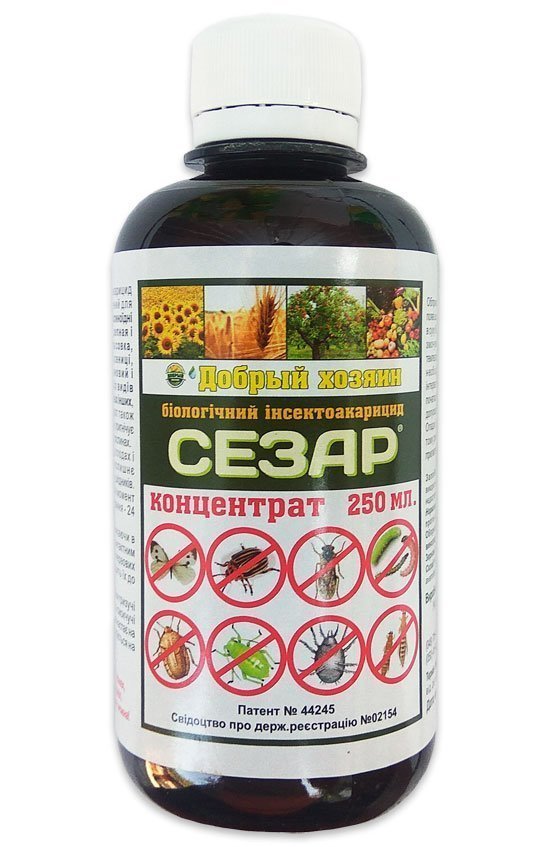 Сезар 250 мл