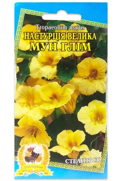 Nasturtium Moon Glim Double Yellow Flower Seeds, 10 pcs