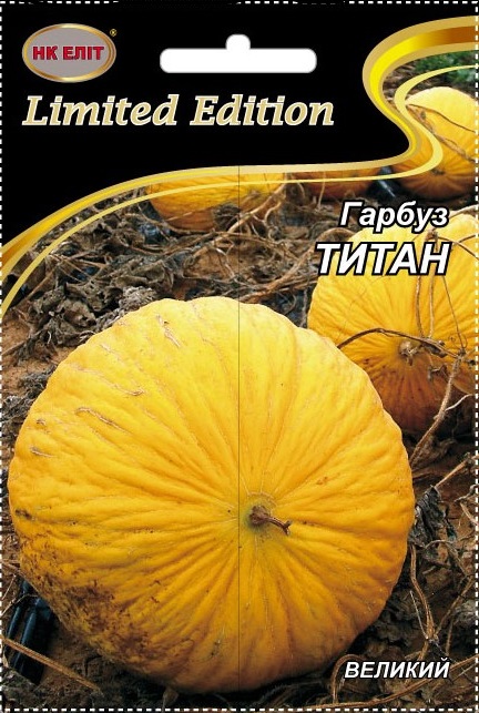 Насіння гарбуза Титан, 10 г