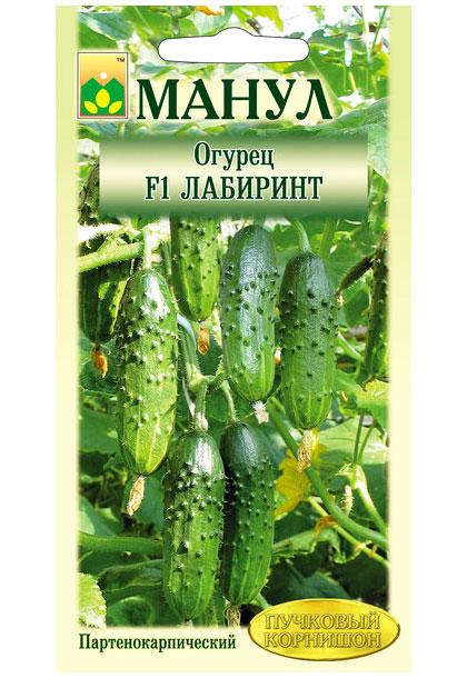 Labyrinth F1 Cucumber Seeds, 10 seeds