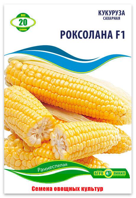 Насіння кукурудзи Роксолана F1, 20 г. | Семена кукурузы Роксолана F1, 20 г.