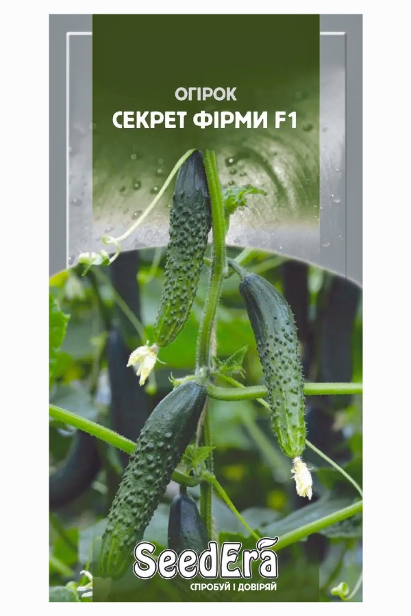 Насіння огірка Секрет Фірми F1, 10 шт, Seedera | Семена огурца Секрет Фирмы F1, 10 шт, Seedera