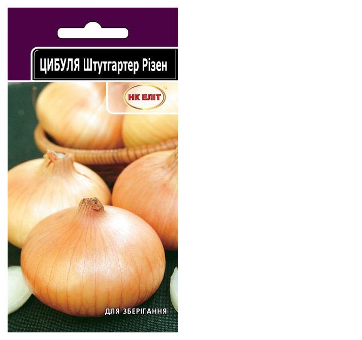 Sturgarter Riesen onion seeds, 1 g