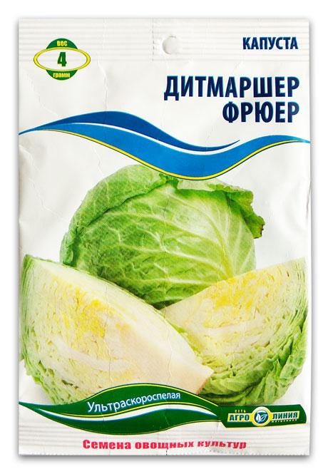 Ditmarscher Früher Cabbage Seeds, 4 g