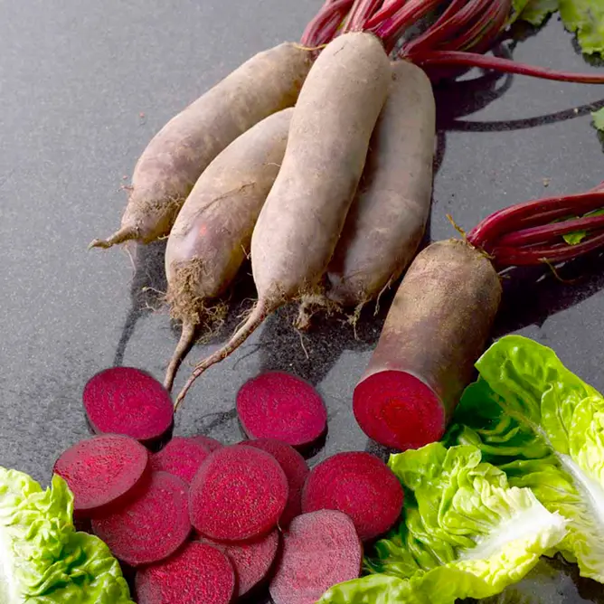 Loma beet seeds, 3 g Rijk Zvaan (Netherlands)