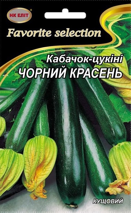 Black Handsome Zucchini Seeds, 20 g