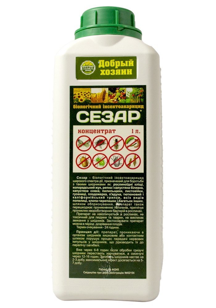 Сезар 1 л