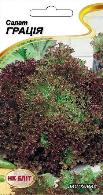 Grazia Lettuce Seeds, 1 g