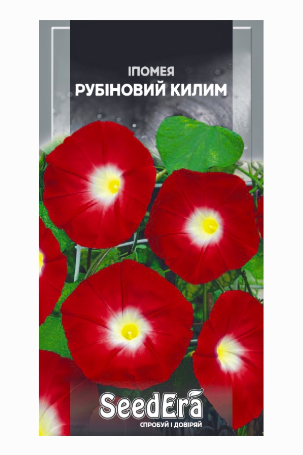 Ipomoea Ruby Carpet Flower Seeds, 0.5 g, Seedera