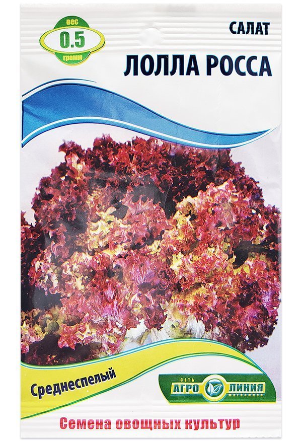 Lolla Rossa lettuce seeds, 0.5 g.