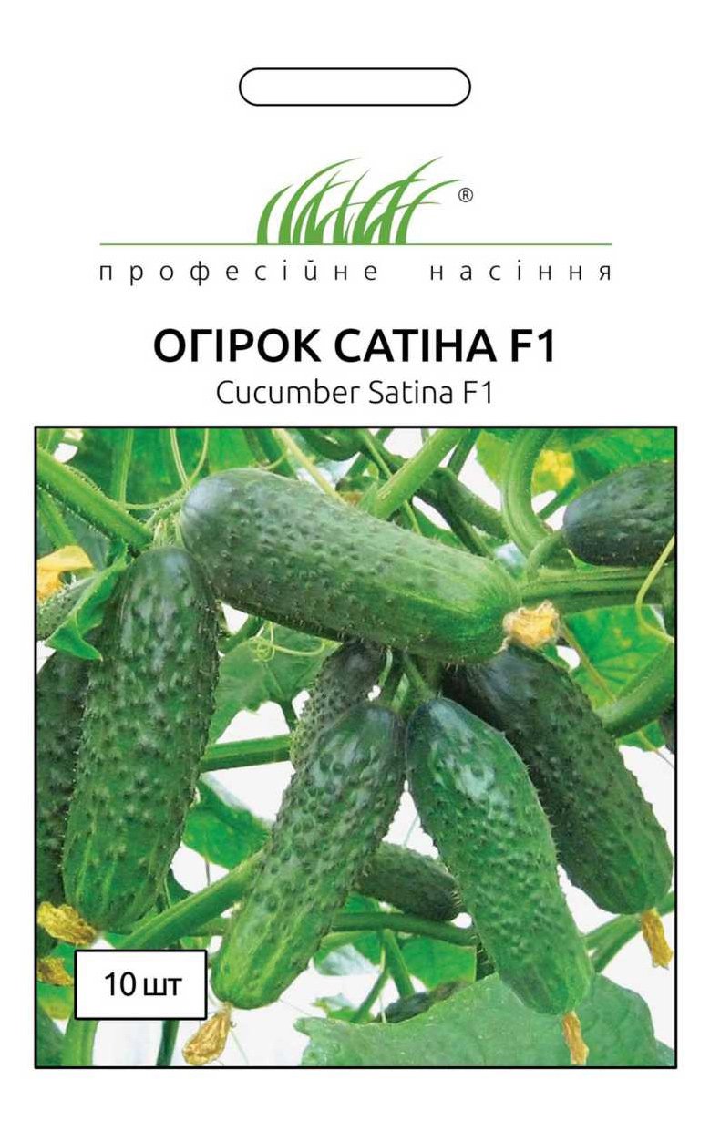 Satin F1 Cucumber Seeds, 10 seeds, Nunhems Zaden (Netherlands)