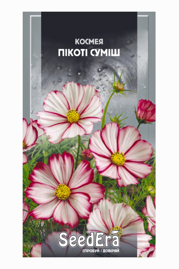 Cosmea Picoti Mix Flower Seeds, 0.5 g, Seedera