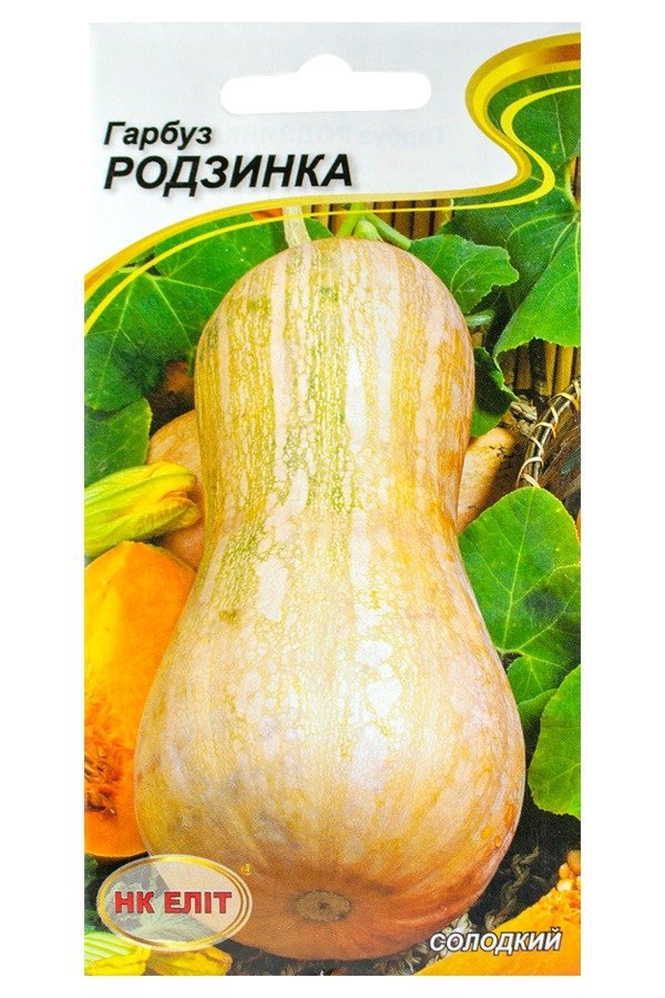 Raisin Pumpkin Seeds, 10 pcs