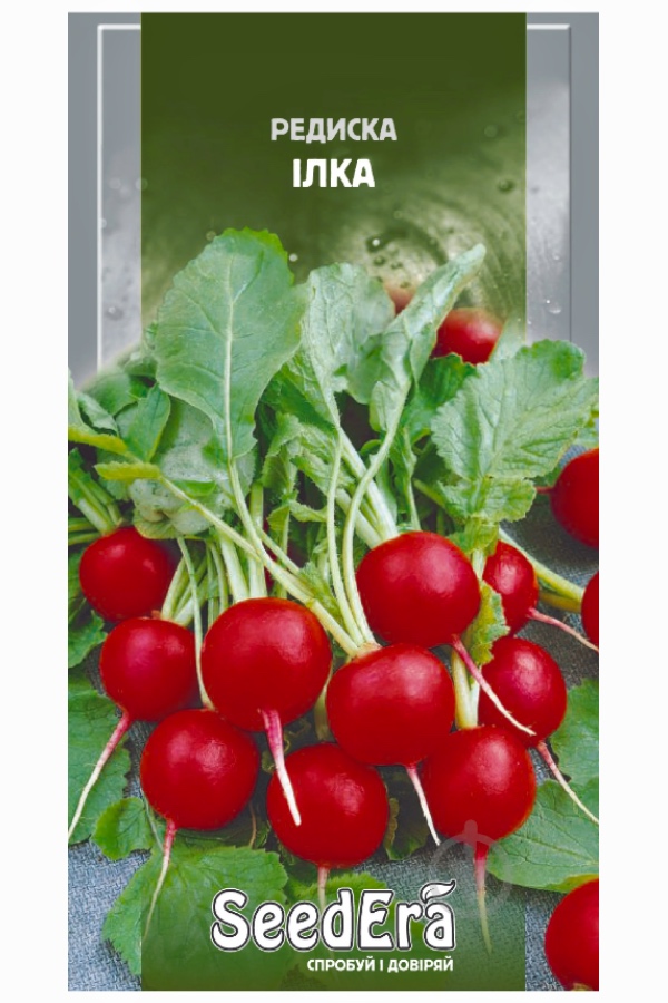 ������ ������ ����, 2 �, Seedera