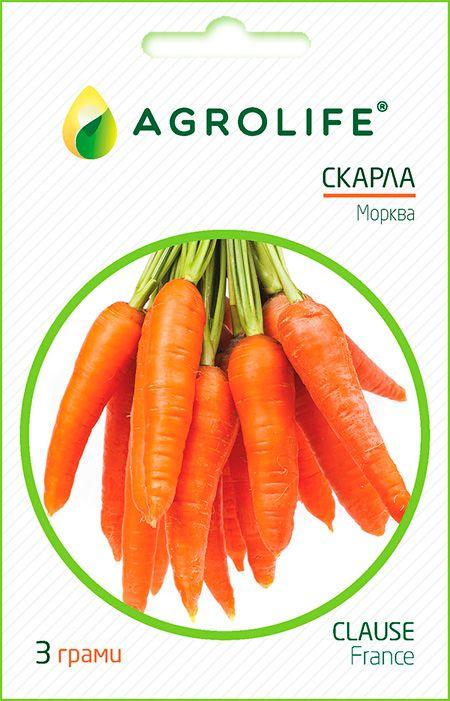 Scarla Carrot Seeds (Scarla), 3 g Clause France