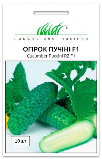 Puccini F1 Cucumber Seeds, 10 seeds Rijk Zvaan (Netherlands)