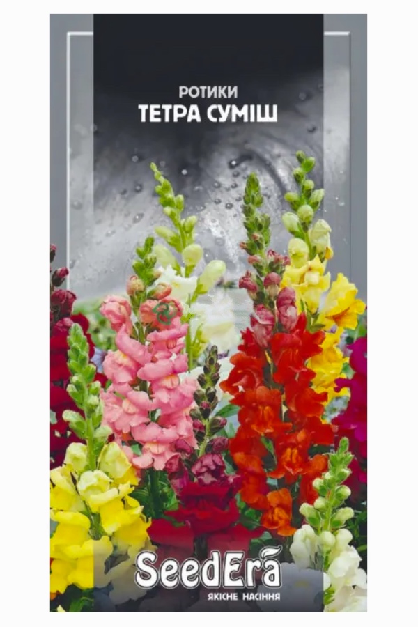 Flower seeds: Tetra Mix, 0.2 g, Seedera