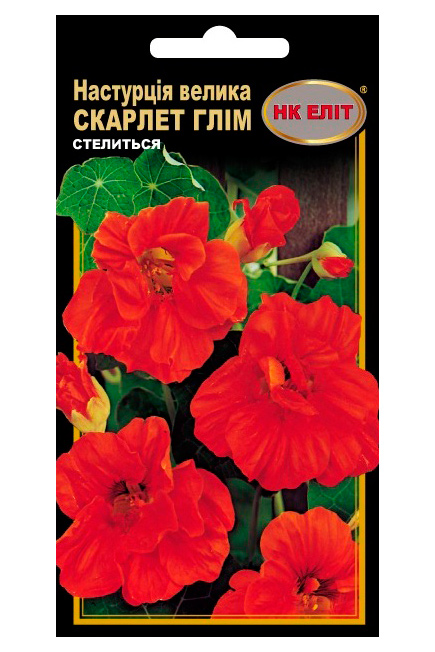 Семена цветов Настурция Скарлет Глим махровая красная, 10 шт