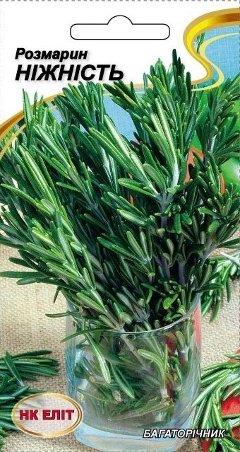 Rosemary Tenderness herb seeds, 0.1 g