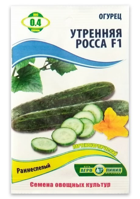 Morning Dew Cucumber Seeds, 0.4 g