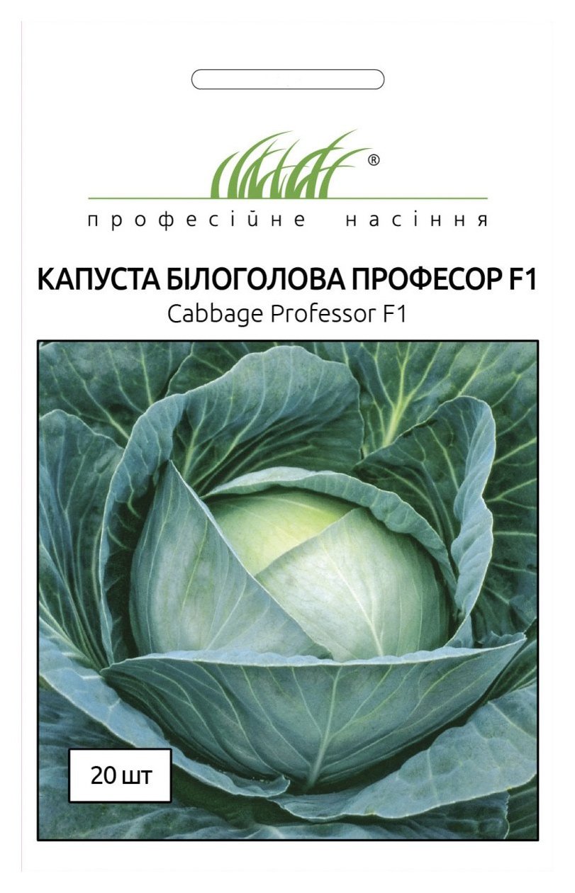 Professor F1 Cabbage Seeds, 20 seeds Syngenta (Netherlands)